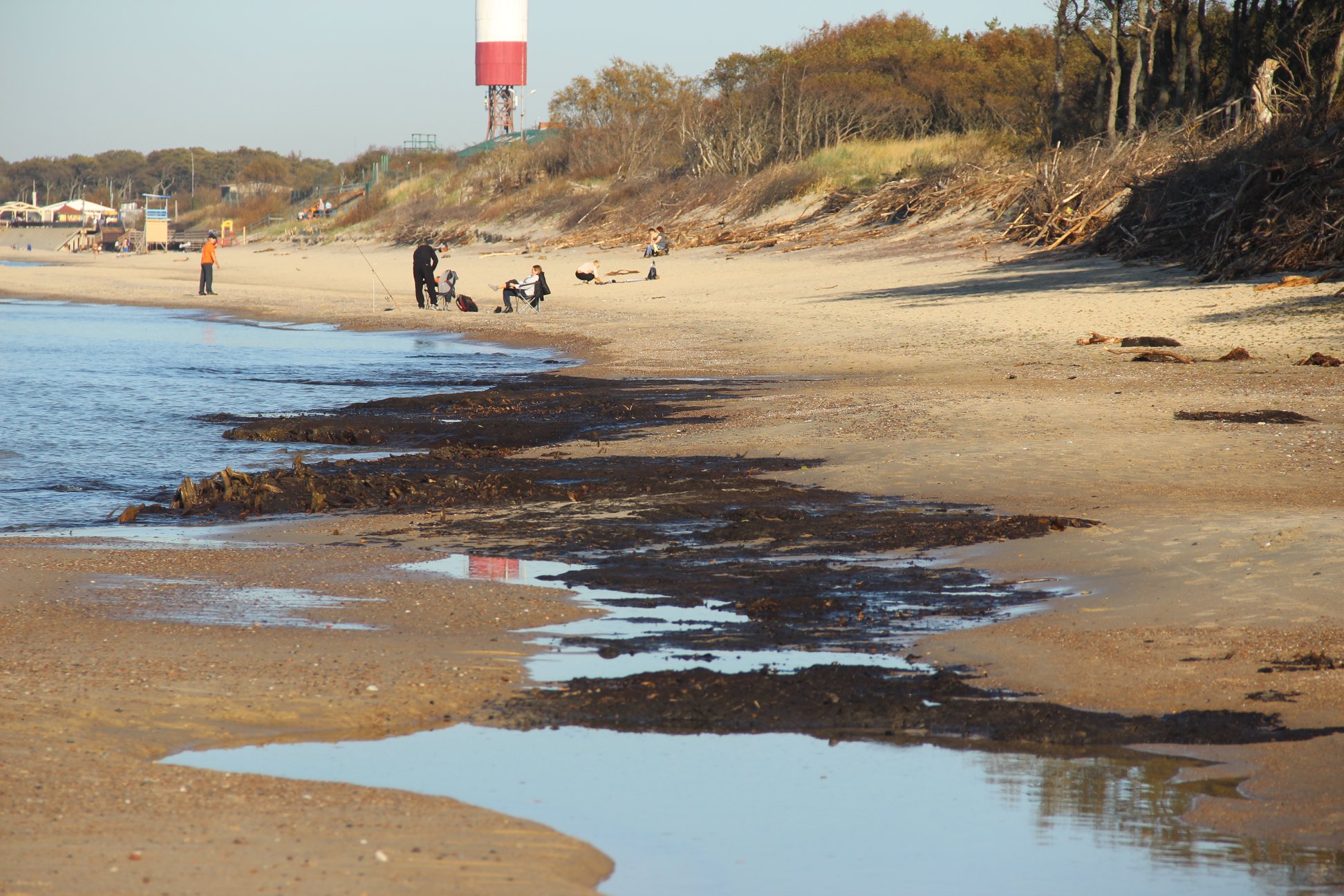 44074823_2704091852941633_6811028922625425408_o