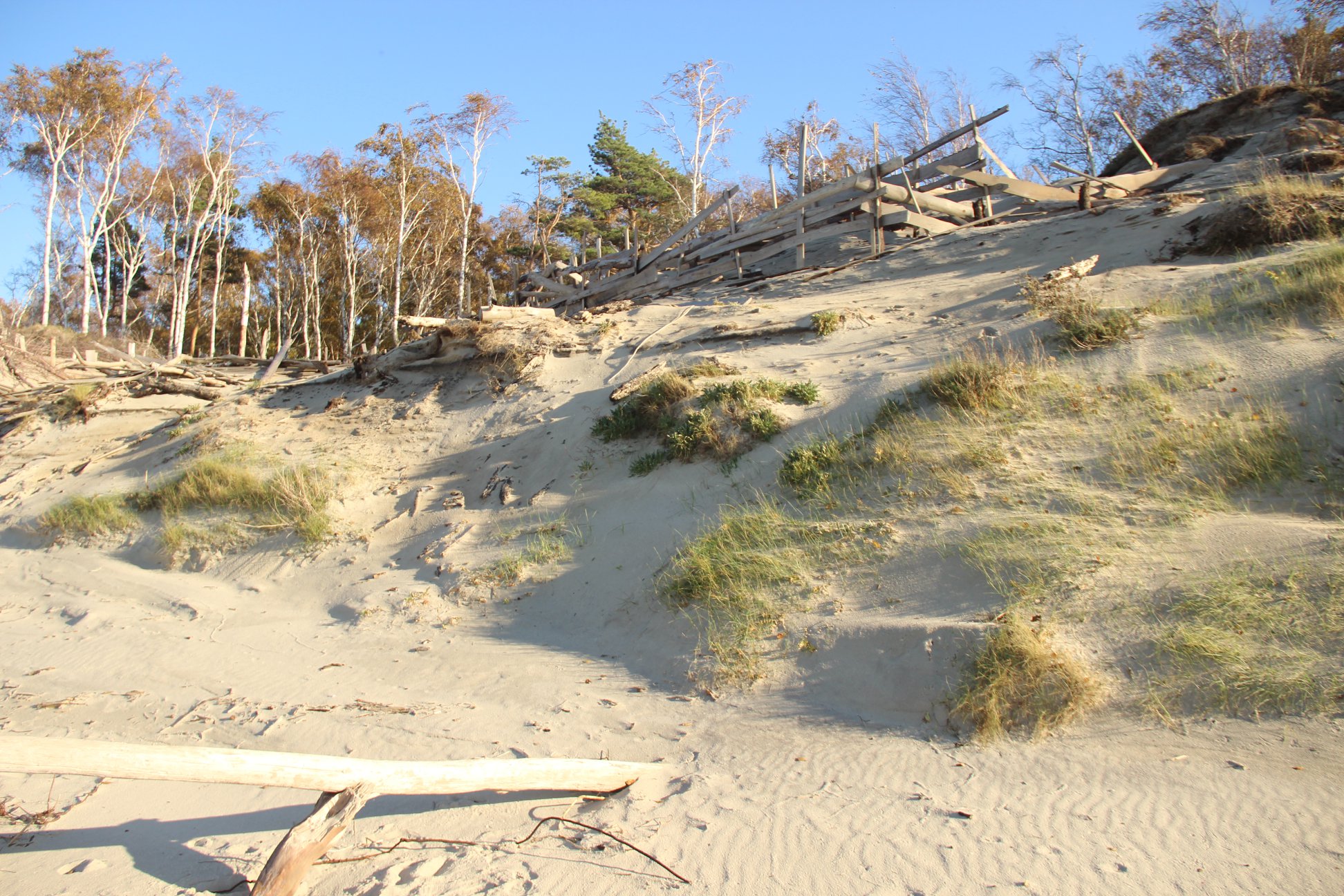 44123870_2704090306275121_8928337427483852800_o