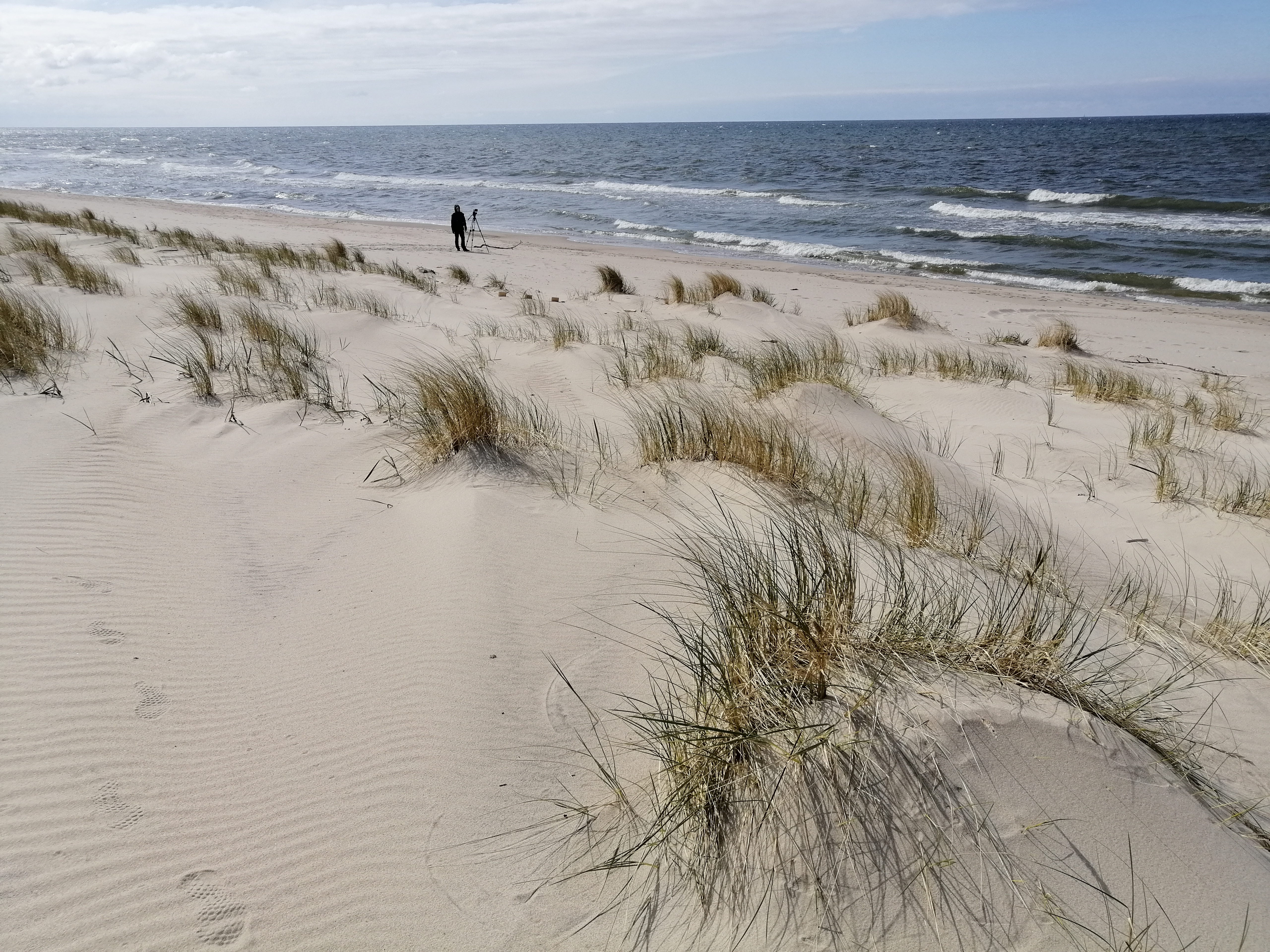 Focus on the Coast: новый фильм о последствиях изменения климата